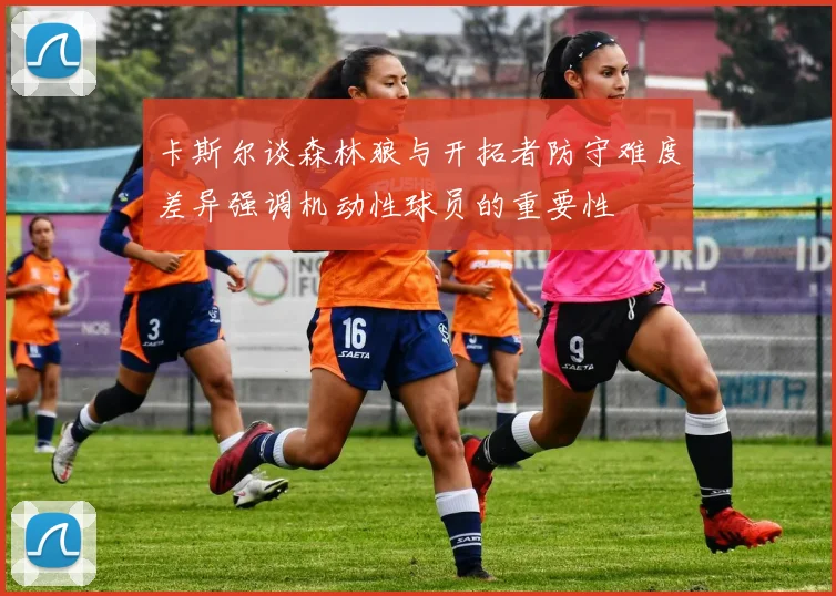 卡斯尔谈森林狼与开拓者防守难度差异强调机动性球员的重要性