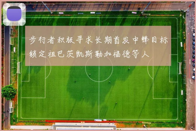 步行者积极寻求长期首发中锋目标锁定祖巴茨凯斯勒加福德等人